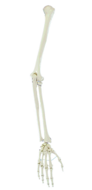 1752730877304.png