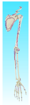 1752731344143.png