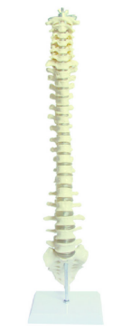1752805235584.png