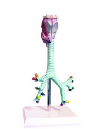 1752905225779.png 1752905225779.png