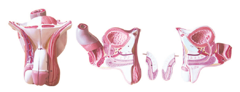 c39e9a76-4c9c-4b30-af60-cef5b20a6807.png c39e9a76-4c9c-4b30-af60-cef5b20a6807.png