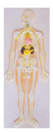 8f53dbc2-bfae-4c35-9f98-842f774d1895.png 8f53dbc2-bfae-4c35-9f98-842f774d1895.png