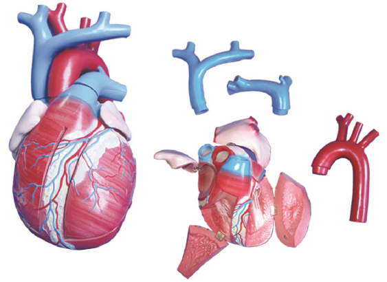 4d0427bf-58b6-49b5-8e58-7bfd15803b6b.png 4d0427bf-58b6-49b5-8e58-7bfd15803b6b.png