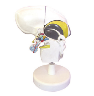 7f97c260-3338-469e-823a-680f7aeccbac.png 7f97c260-3338-469e-823a-680f7aeccbac.png