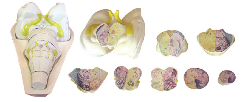 c18ef0d4-17a2-4c83-8f0b-8a1b4ed88c56.png