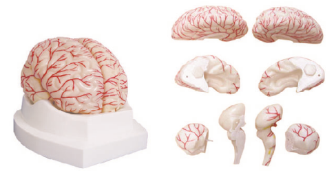 0511175c-c30d-418e-8a98-33062bd62d4f.png