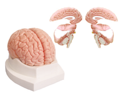 88f0d115-ce7c-4adf-847a-c8c3ea7dafcf.png