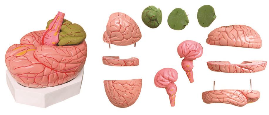 9cbd3945-40e9-43b4-9092-434c0101875f.png