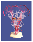 5eb45431-5543-44b1-8815-0a0696c5d162.png 5eb45431-5543-44b1-8815-0a0696c5d162.png