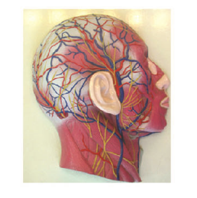 9c5b8dbc-f8a5-461b-bc07-5c98d7cdc280.png