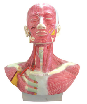 2575039f-eedf-4bdd-a8d9-422b9115efac.png