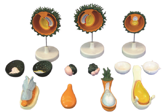 5ee3464a-4b1a-4c9a-ace1-8307a7b6490d.png 5ee3464a-4b1a-4c9a-ace1-8307a7b6490d.png