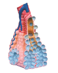 3cf811b8-6389-4be5-83fb-937ebeab691d.png 3cf811b8-6389-4be5-83fb-937ebeab691d.png