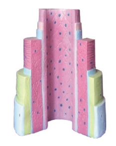 3504a1b7-3ae6-4edb-ab0c-c71249a5d03d.png