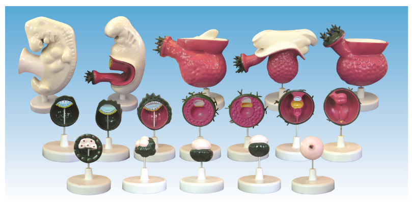 85bcd837-1060-444a-a074-625e96933c53.png 85bcd837-1060-444a-a074-625e96933c53.png