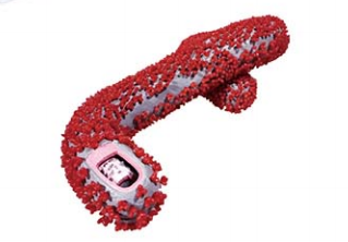 eb1cf618-7b44-4daa-a1ce-62e2516408ac.png eb1cf618-7b44-4daa-a1ce-62e2516408ac.png