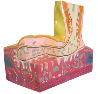 87aa8706-9f16-4465-979c-07f9448c8c01.png 87aa8706-9f16-4465-979c-07f9448c8c01.png