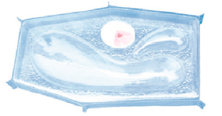db784496-b11b-4e67-a14e-0fc2a6cdc0e5.png