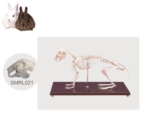 f39487b1-e327-4faa-ad5d-ac6617bbb58a.png