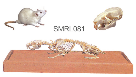 6fb95538-6c6f-4adf-80a5-e5b9960d4d51.png 6fb95538-6c6f-4adf-80a5-e5b9960d4d51.png