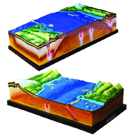 98c00568-0eec-42e9-8c61-a47d332c1ab8.png
