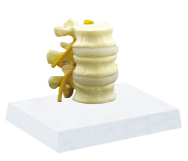 619ff50c-4b48-48b4-aa18-66520c7f9a02.png