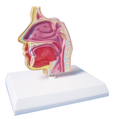 254b9c4d-733a-4ec4-a89d-753f1b7f3bb6.png 254b9c4d-733a-4ec4-a89d-753f1b7f3bb6.png