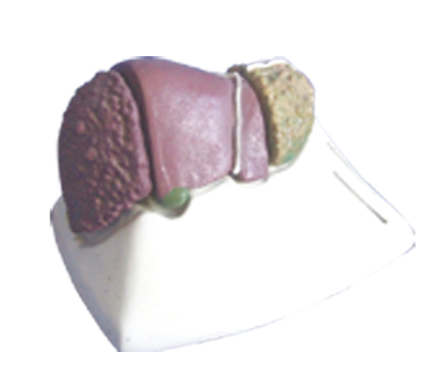 49d21b20-f918-4bc6-8195-d48bc6eaa475.png 49d21b20-f918-4bc6-8195-d48bc6eaa475.png