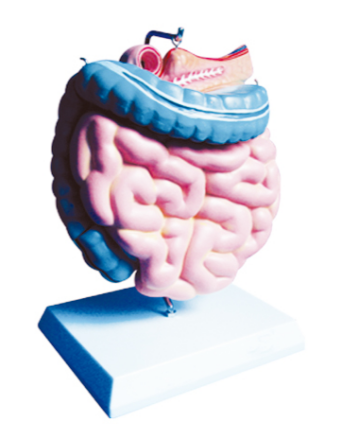 c397e902-f39c-4417-9693-f38c1f32ffbe.png c397e902-f39c-4417-9693-f38c1f32ffbe.png