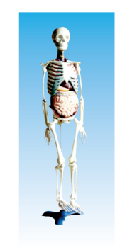140dc151-099d-4ce0-a47d-2c364183bf20.png