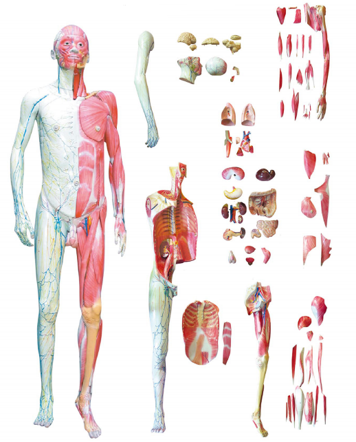 ea353229-f78d-4937-ab98-bf814bfd7797.png ea353229-f78d-4937-ab98-bf814bfd7797.png