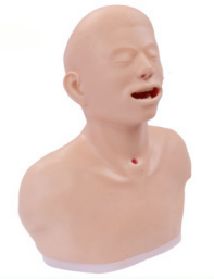 33fcab9d-703c-4e1e-abb0-74ffadf36c65.png