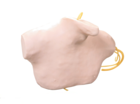 中心静脉穿刺插管模型  L68B.png