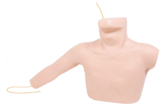 87c8d608-544e-44f5-8ca9-899e2706cd1c.png